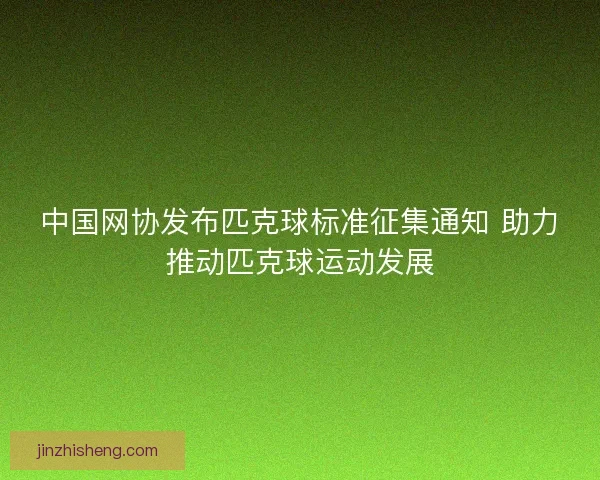中国网协发布匹克球标准征集通知 助力推动匹克球运动发展