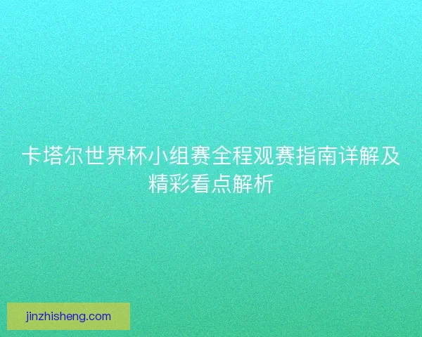 卡塔尔世界杯小组赛全程观赛指南详解及精彩看点解析